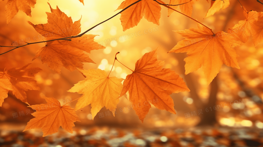 倒数说爱你上映一周，豆瓣评分走势反映口碑两极分化