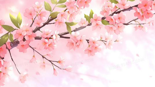 社交媒体时代：韩国偶像与粉丝互动模式的新变革