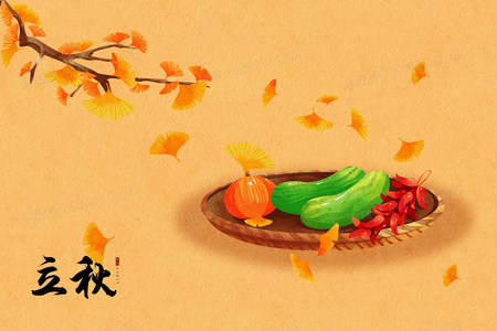 向山进发第三季：风雪中的温暖与勇气