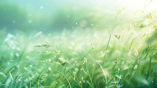 水瓶座的元素密码：风象如何塑造其性格与命运