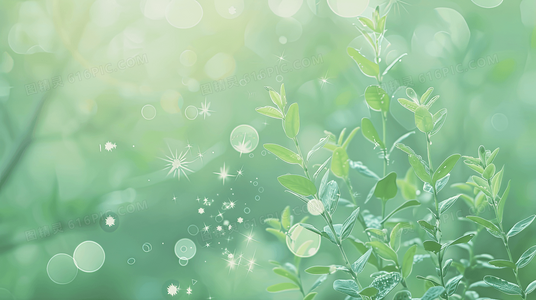 突出信息错位导致的命运转折