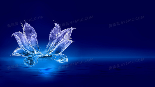 从电视剧到电影：坏家伙们宇宙的扩展与风格演变