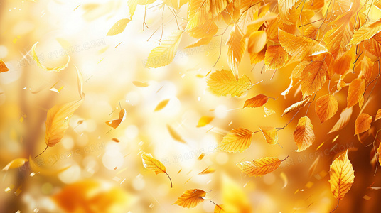 从半条棉被看共产党人的初心与使命