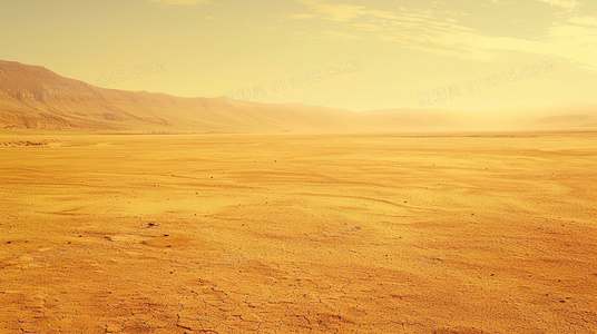 绝命时限：48小时拆弹专家的生死对决