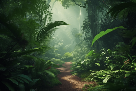 跨国家长会惊现神操作：爸爸用表情包翻译老师评语