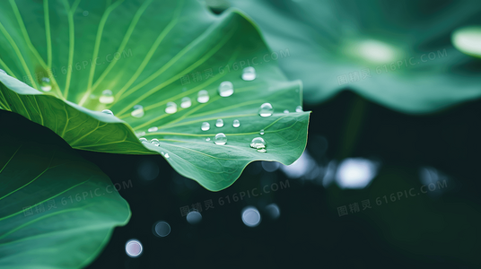 我的左手右手剧情解析：双胞胎姐妹的寻亲之路