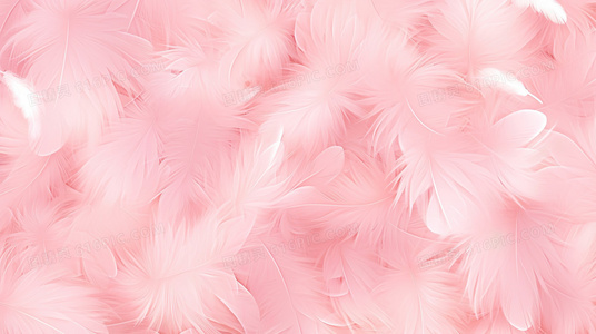 文字即武器：鹅毛笔完整版中的意识形态战争