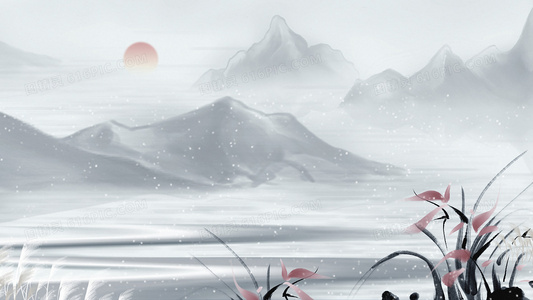 从受害者到加害者非法制裁主角的悲剧性复仇之旅