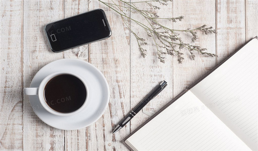 昼夜生存差异：利用时间规律提升僵尸岛存活率