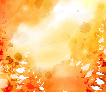 沉默的哨声：橄榄球队与数学社的战争