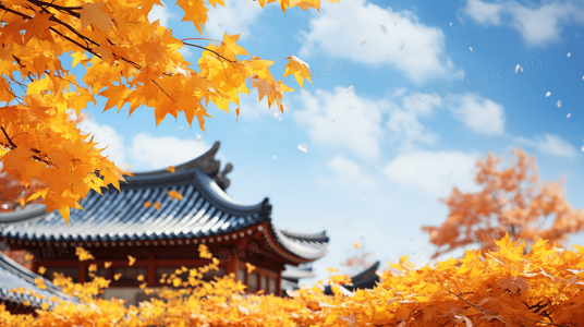 演技大爆发！婚后事国语版中演员如何诠释婚姻危机