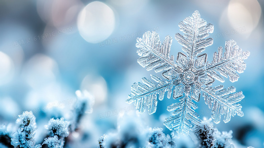 从剧本到银幕:新九品芝麻官演员表背后的选角故事与创作思路