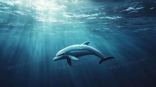 怪兽入侵警报!在奥特曼传奇英雄正版中化身光之战士守护地球