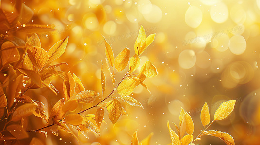 季终悬念盘点：多米娜第二季8集剧情全解析