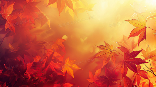 从无人问津到万众瞩目:阿刁歌曲背后的坚持与突破