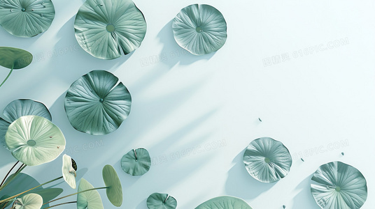 七月十四出生的女孩：如何把握命运，活出精彩人生？