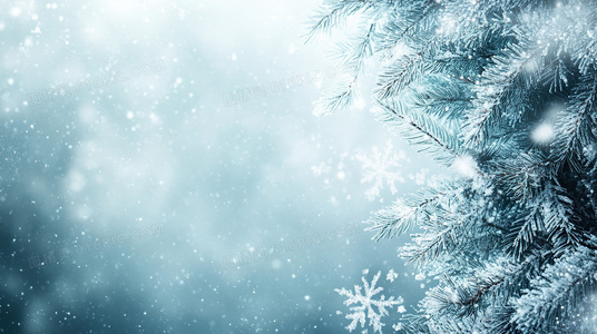 如何养护金色海岸长寿花?让这份灿烂长久陪伴你