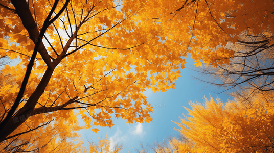 让孩子自信开口:揭秘我会变成巨人英语情景式教学法