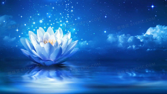 迪多小子电视剧定档！官方公布首播时间