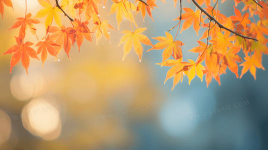 报告医妃她有读心术全集资源：在线观看与剧情解析