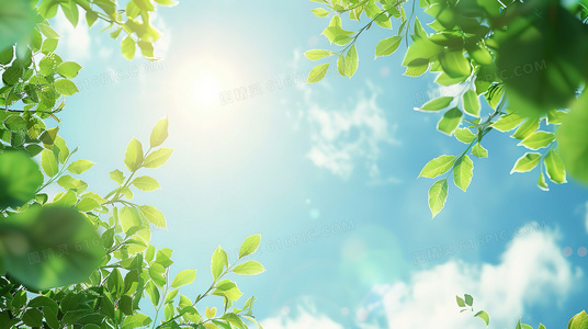 数字背后的悲剧：东京大轰炸伤亡与损失再评估