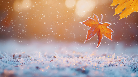 从文字到影像：与雪白头原著与改编作品的对比分析