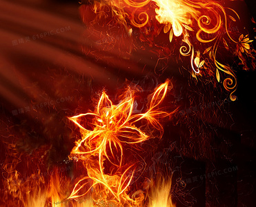 声临其境：走进美女公寓的奇幻之夜