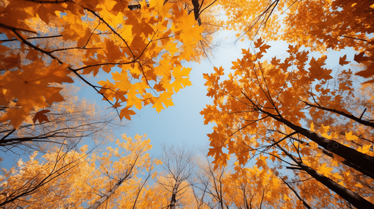 荒诞监狱生活！一狱一世界国语版电影资源获取