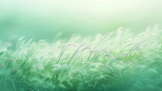 荧幕上的她：伏罗希洛夫射手女演员背景介绍