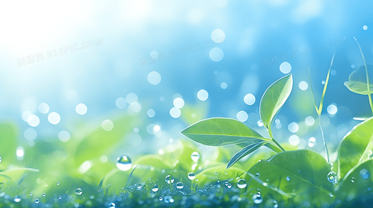 岸边的根：献给黄河的歌